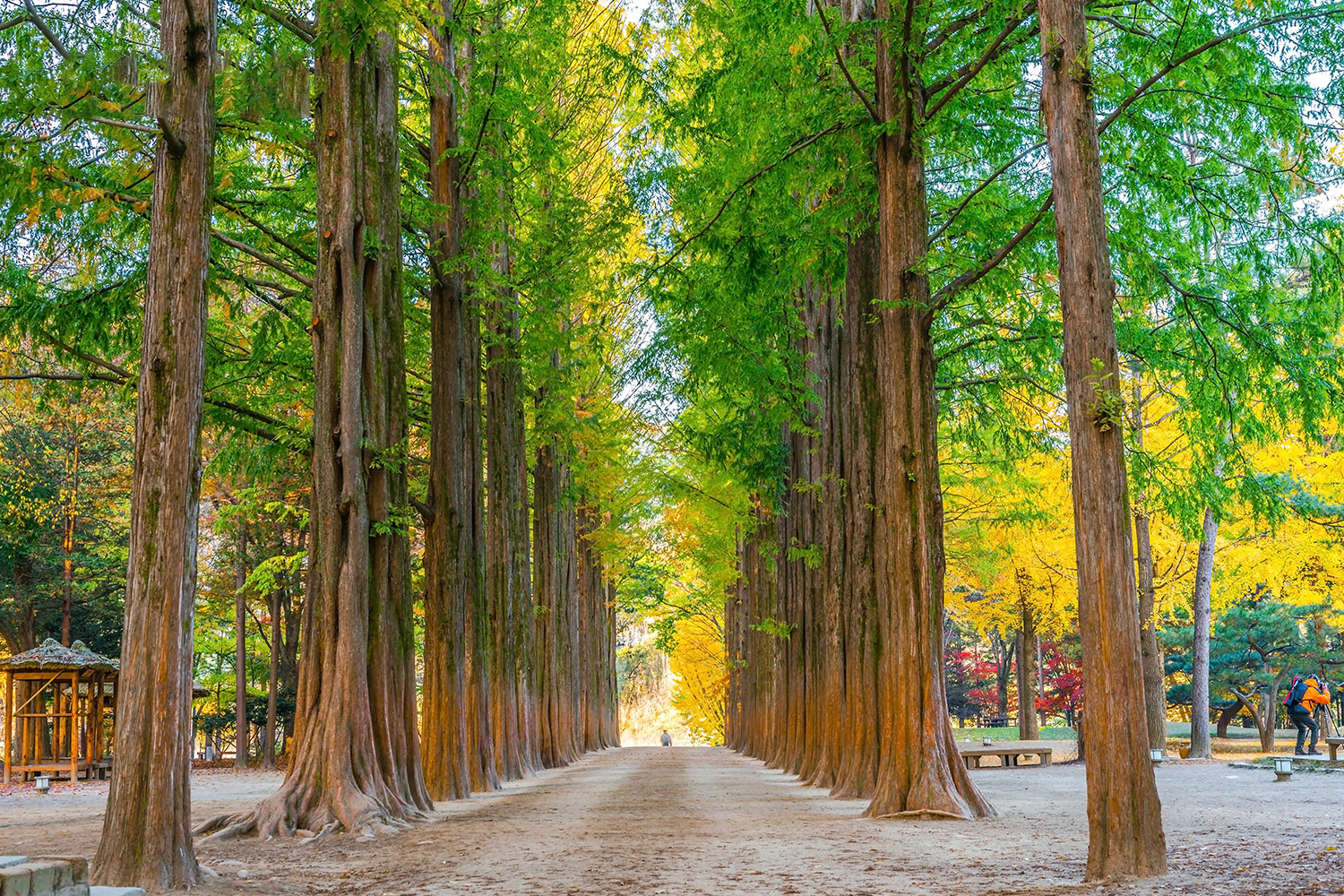 TOUR HÀN QUỐC: SEOUL - NAMI - EVERLAND 5N5Đ Lịch khởi hành đa dạng quý khách vui lòng Liên hệ IPO Travel để được tư vấn trực tiếp.