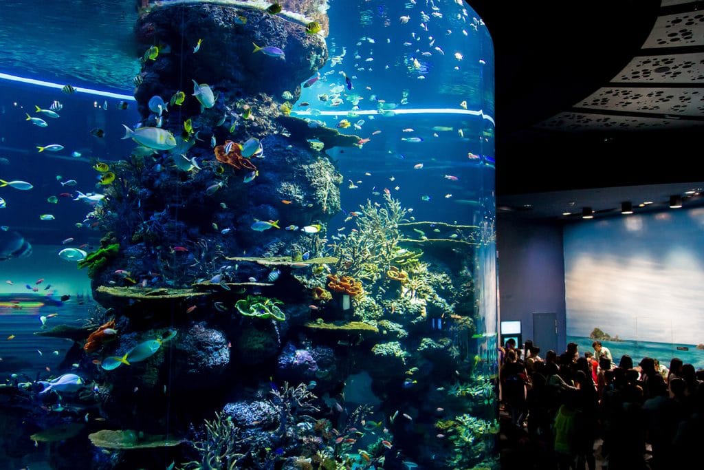 SEA-AQUARIUM_652912663