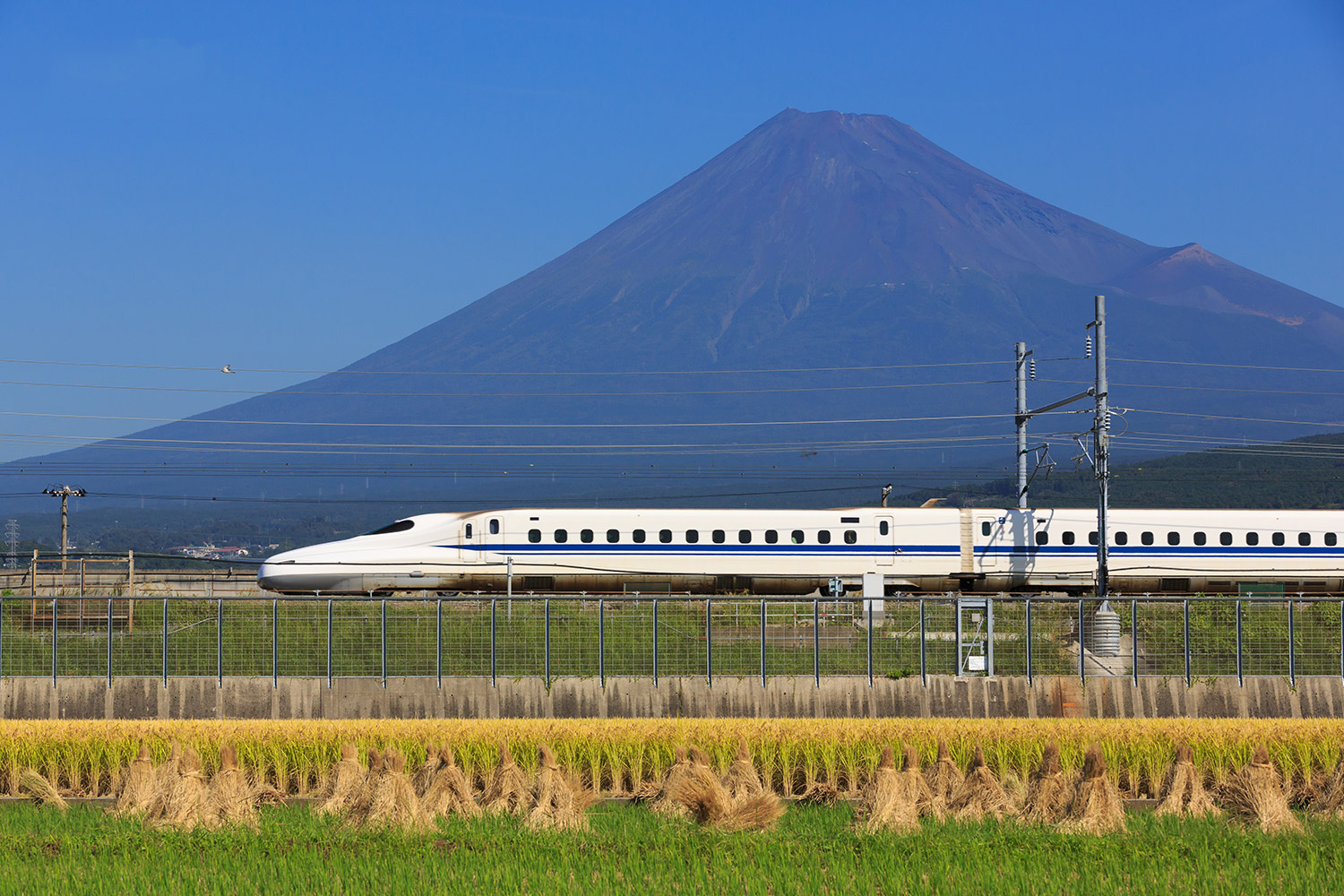 TOUR NHẬT BẢN: OSAKA – KYOTO – PHÚ SĨ – TOKYO – NARITA (CUNG ĐƯỜNG VÀNG) 5N5Đ Lịch khởi hành đa dạng quý khách vui lòng Liên hệ IPO Travel để được tư vấn trực tiếp.