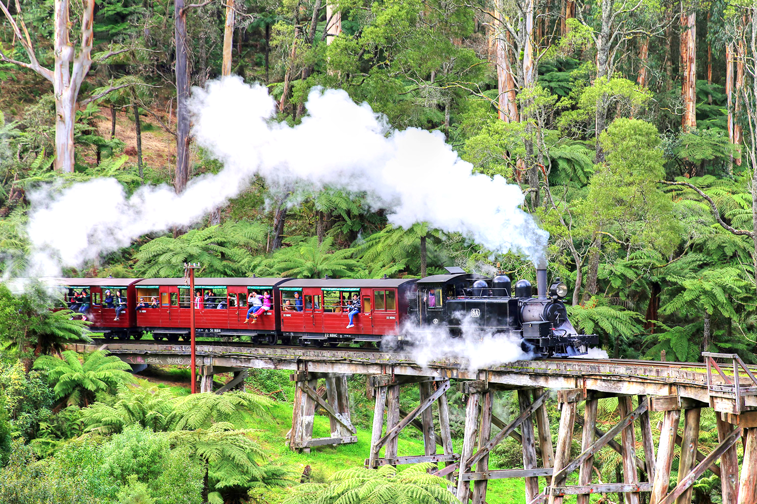 Dandenong-ranges_637911574