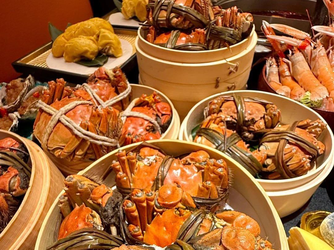 573319460_1230859339077531_6375487346371433157_n