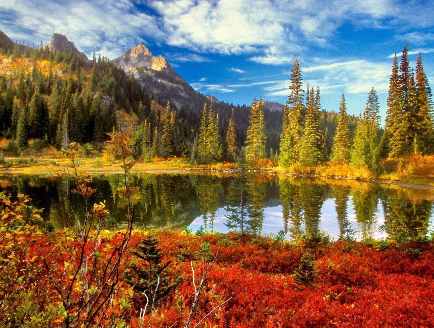 Cong-vien-quoc-gia-dandenong-ranges-anh8