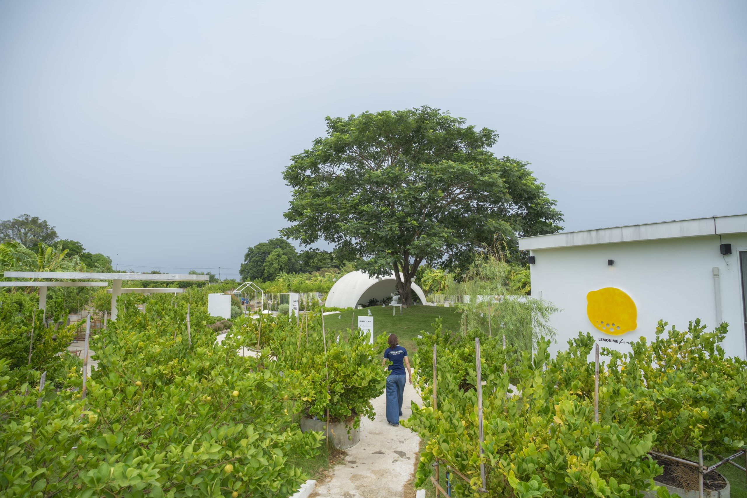 IPO05_GREENWICH_CT_THAILAND_D2_HDP8926