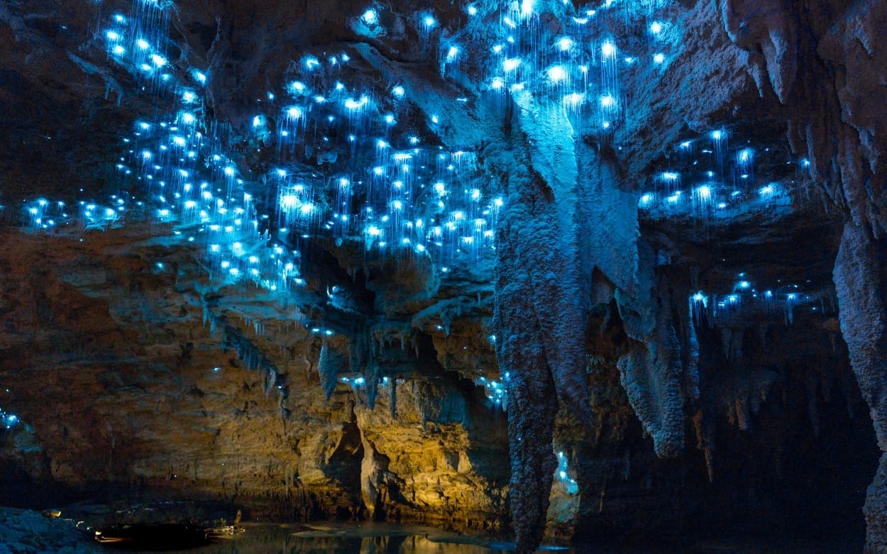 Waitomo-Glowworm-Caves-New-Zealand-4