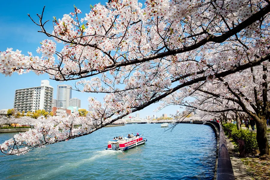 Kema-Sakuranomiya