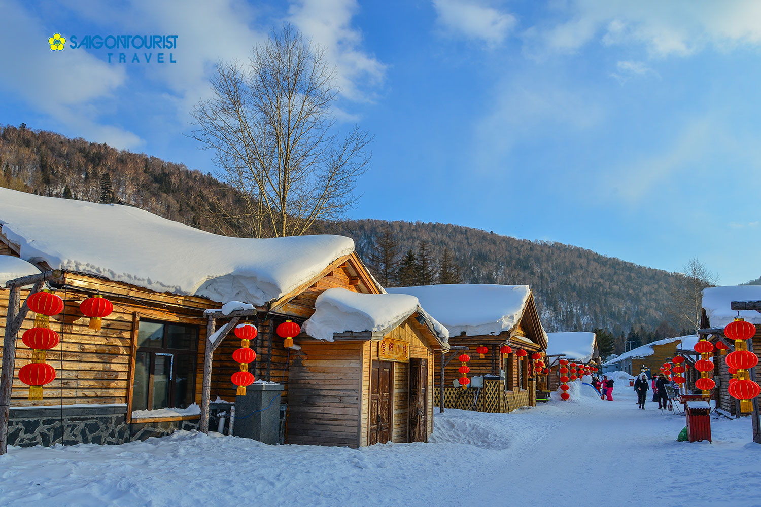 LangTuyet_1116784343